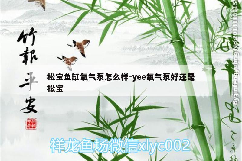 松寶魚(yú)缸氧氣泵怎么樣:yee氧氣泵好還是松寶