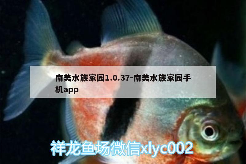 南美水族家園1.0.37:南美水族家園手機(jī)app