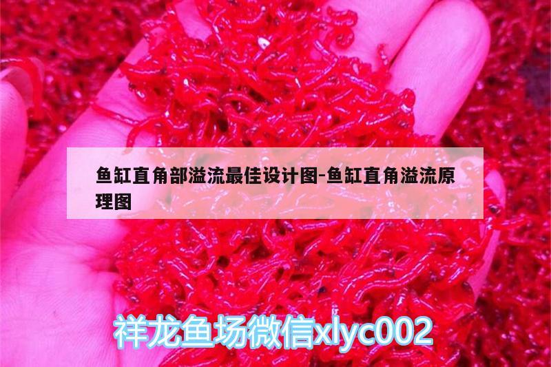 魚缸直角部溢流最佳設(shè)計圖:魚缸直角溢流原理圖