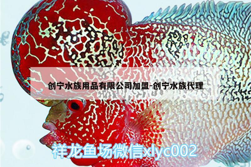 創(chuàng)寧水族用品有限公司加盟:創(chuàng)寧水族代理 創(chuàng)寧水族