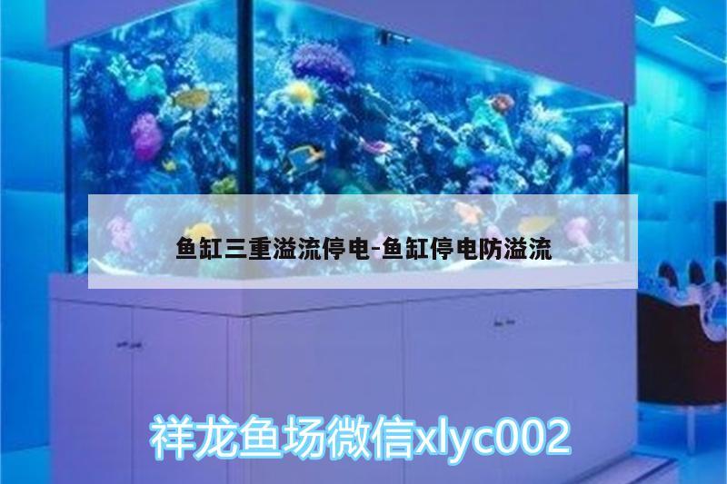 魚缸三重溢流停電:魚缸停電防溢流 觀賞魚飼料