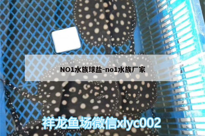 NO1水族球鹽:no1水族廠家