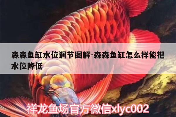 森森魚缸水位調(diào)節(jié)圖解:森森魚缸怎么樣能把水位降低