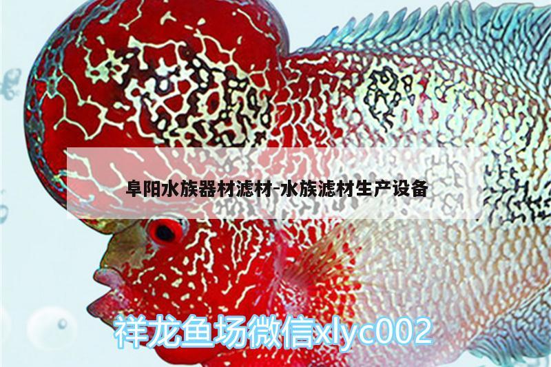 阜陽水族器材濾材:水族濾材生產(chǎn)設(shè)備 短身紅龍魚