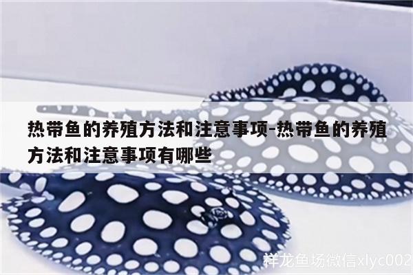 熱帶魚的養(yǎng)殖方法和注意事項(xiàng):熱帶魚的養(yǎng)殖方法和注意事項(xiàng)有哪些 魚缸風(fēng)水