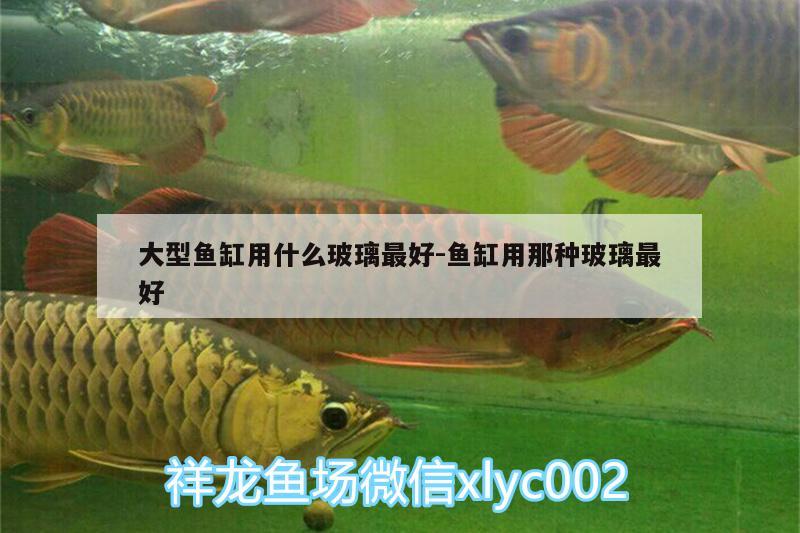 大型魚缸用什么玻璃最好:魚缸用那種玻璃最好 女王大帆魚苗