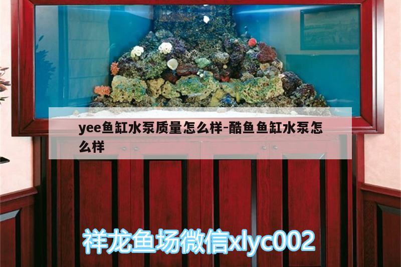 yee魚缸水泵質(zhì)量怎么樣:酷魚魚缸水泵怎么樣 yee