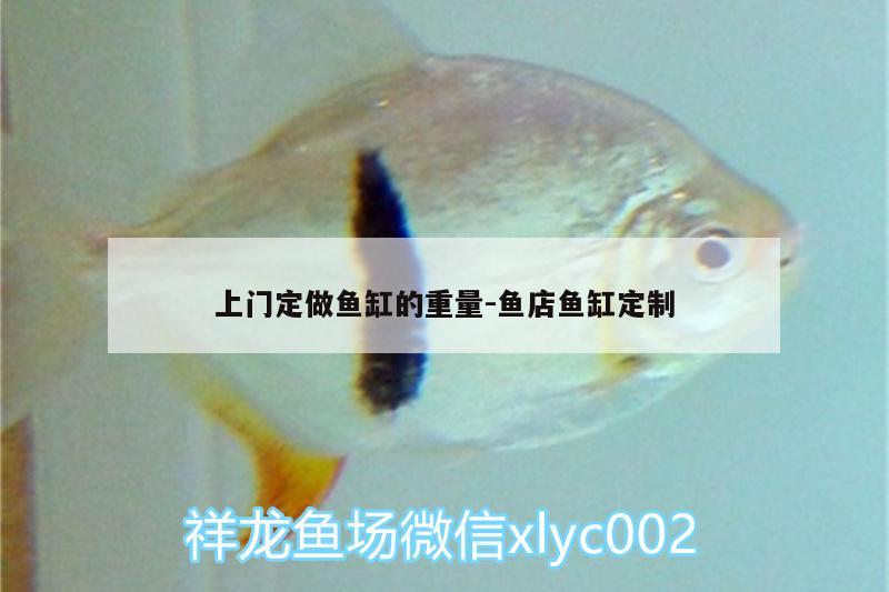 上門定做魚缸的重量:魚店魚缸定制 大湖紅龍魚