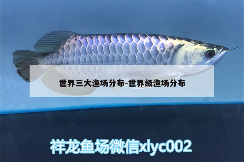 世界三大漁場分布:世界級漁場分布 古典過背金龍魚