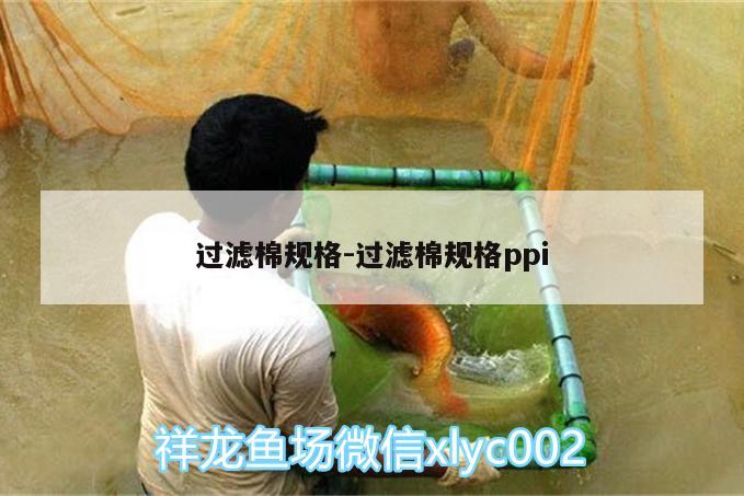 過濾棉規(guī)格:過濾棉規(guī)格ppi 大湖紅龍魚