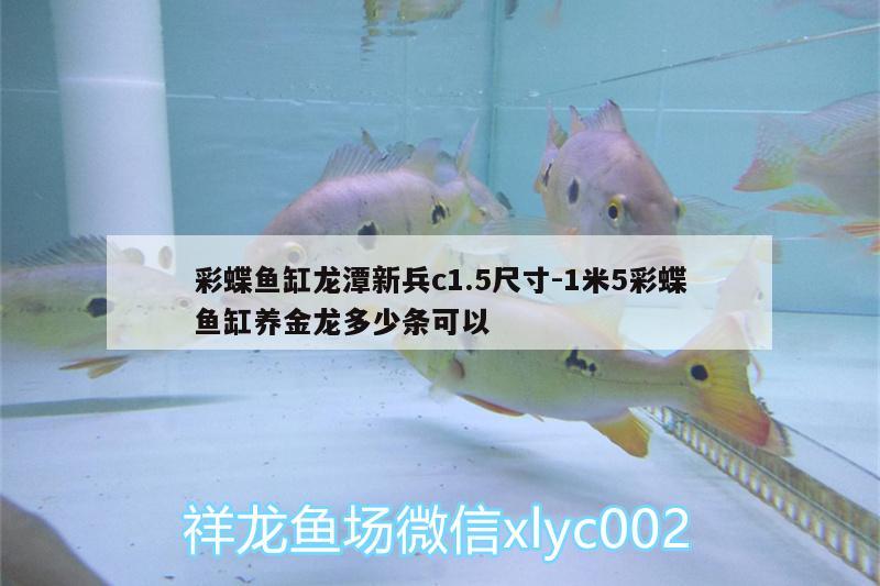 彩蝶魚缸龍?zhí)缎卤鴆1.5尺寸:1米5彩蝶魚缸養(yǎng)金龍多少條可以 魚缸等水族設(shè)備