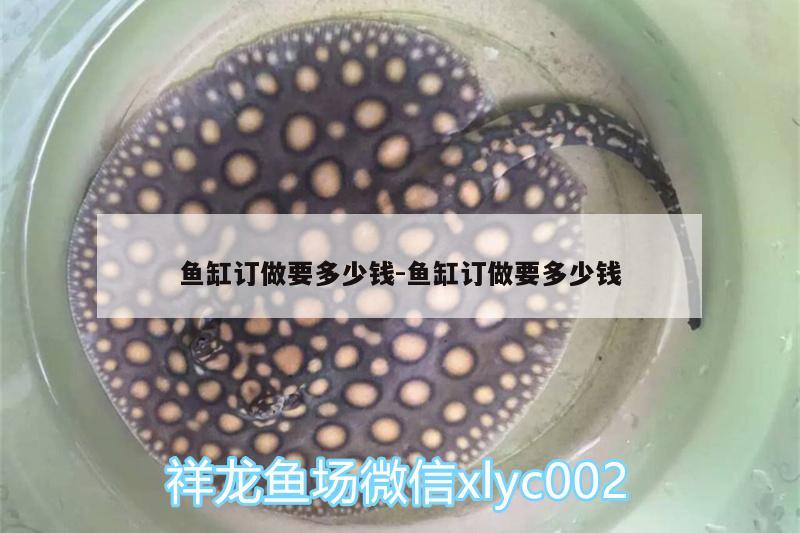 魚缸訂做要多少錢:魚缸訂做要多少錢 海象魚