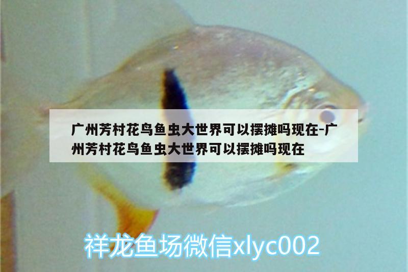 廣州芳村花鳥魚蟲大世界可以擺攤嗎現(xiàn)在:廣州芳村花鳥魚蟲大世界可以擺攤嗎現(xiàn)在 大嘴鯨魚