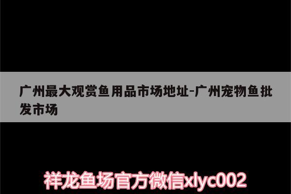 廣州最大觀賞魚用品市場地址:廣州寵物魚批發(fā)市場 龍魚專用燈