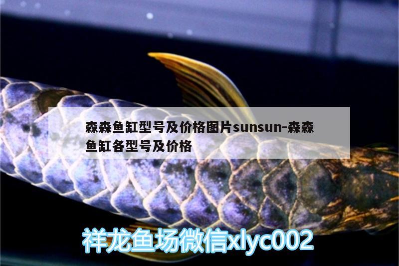 森森魚缸型號及價格圖片sunsun:森森魚缸各型號及價格 祥龍傳奇品牌魚缸 第1張