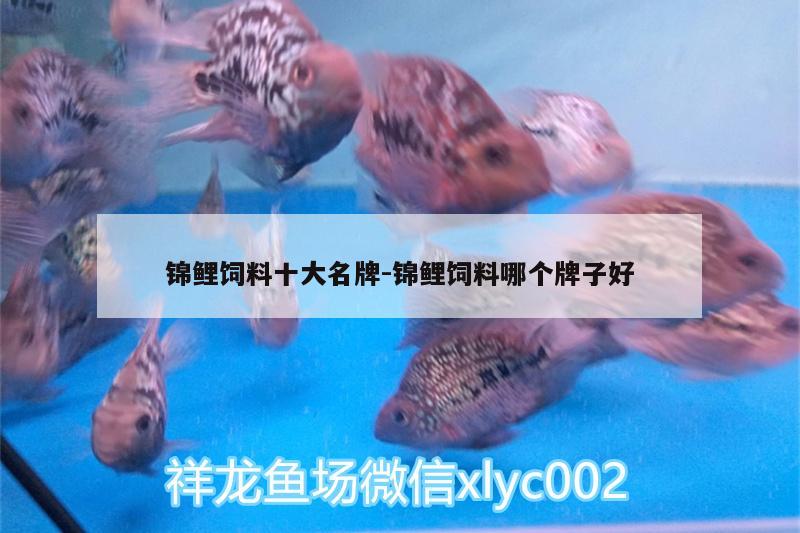 錦鯉飼料十大名牌:錦鯉飼料哪個(gè)牌子好