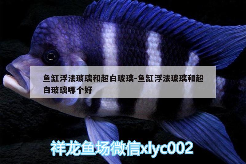 魚缸浮法玻璃和超白玻璃:魚缸浮法玻璃和超白玻璃哪個好