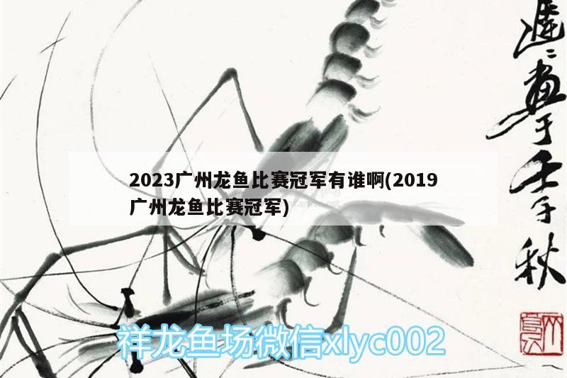 2023廣州龍魚比賽冠軍有誰啊(2019廣州龍魚比賽冠軍)