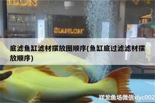 底濾魚缸濾材擺放圖順序(魚缸底過濾濾材擺放順序)