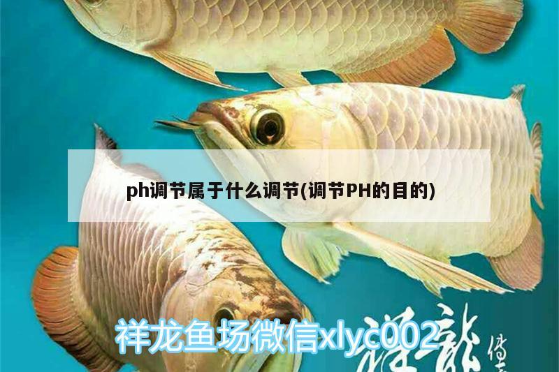 ph調(diào)節(jié)屬于什么調(diào)節(jié)(調(diào)節(jié)PH的目的)