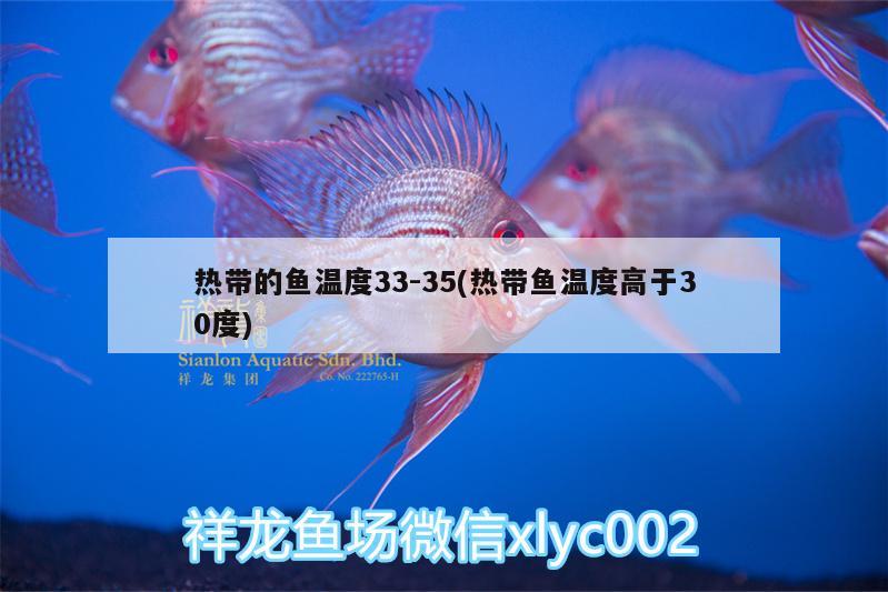 熱帶的魚(yú)溫度33:35(熱帶魚(yú)溫度高于30度) 觀賞龜/鱉飼料