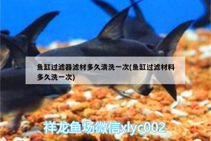 魚缸過濾器濾材多久清洗一次(魚缸過濾材料多久洗一次)