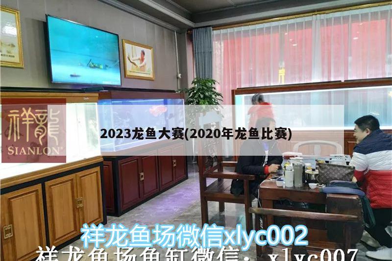 2023龍魚大賽(2020年龍魚比賽)