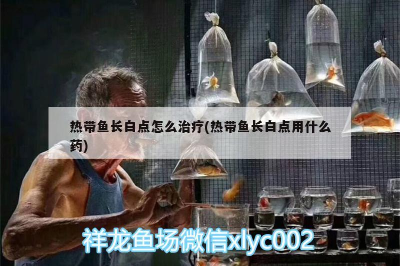 熱帶魚長白點怎么治療(熱帶魚長白點用什么藥) 祥龍水族濾材/器材