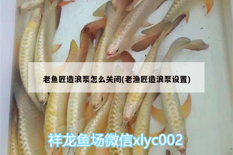 老魚匠造浪泵怎么關(guān)閉(老漁匠造浪泵設(shè)置) 老魚匠