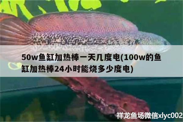 50w魚(yú)缸加熱棒一天幾度電(100w的魚(yú)缸加熱棒24小時(shí)能燒多少度電) 三間鼠魚(yú)