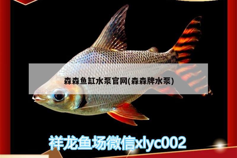 森森魚缸水泵官網(wǎng)(森森牌水泵)