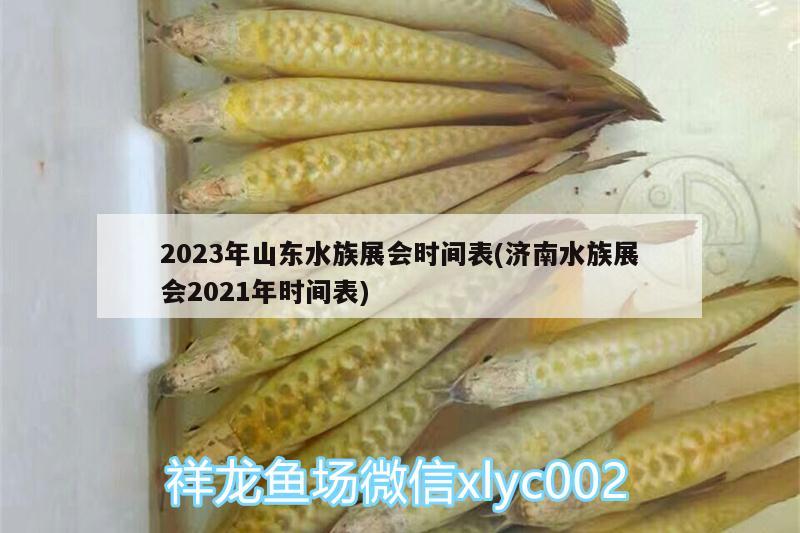 2023年山東水族展會時間表(濟南水族展會2021年時間表)