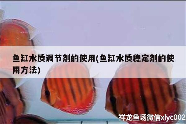 魚(yú)缸水質(zhì)調(diào)節(jié)劑的使用(魚(yú)缸水質(zhì)穩(wěn)定劑的使用方法)