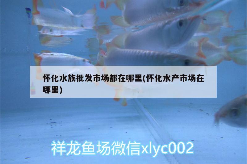 懷化水族批發(fā)市場都在哪里(懷化水產(chǎn)市場在哪里)