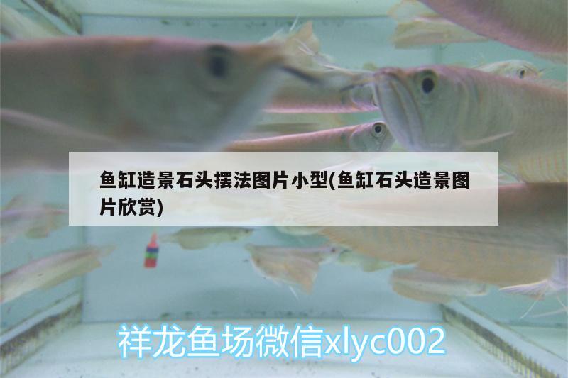 魚(yú)缸造景石頭擺法圖片小型(魚(yú)缸石頭造景圖片欣賞) 祥龍魚(yú)場(chǎng)品牌產(chǎn)品