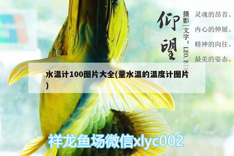 水溫計100圖片大全(量水溫的溫度計圖片) 水溫計