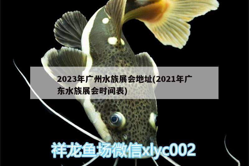 2023年廣州水族展會地址(2021年廣東水族展會時間表) 水族展會