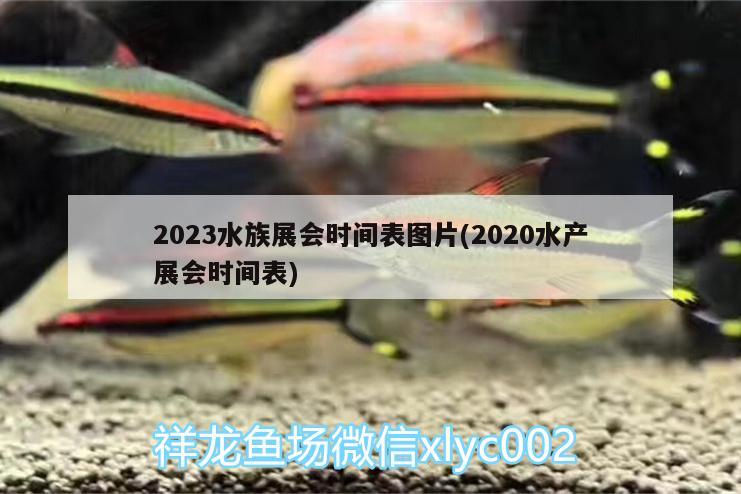 2023水族展會(huì)時(shí)間表圖片(2020水產(chǎn)展會(huì)時(shí)間表)