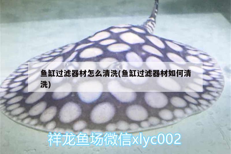 魚缸過濾器材怎么清洗(魚缸過濾器材如何清洗)