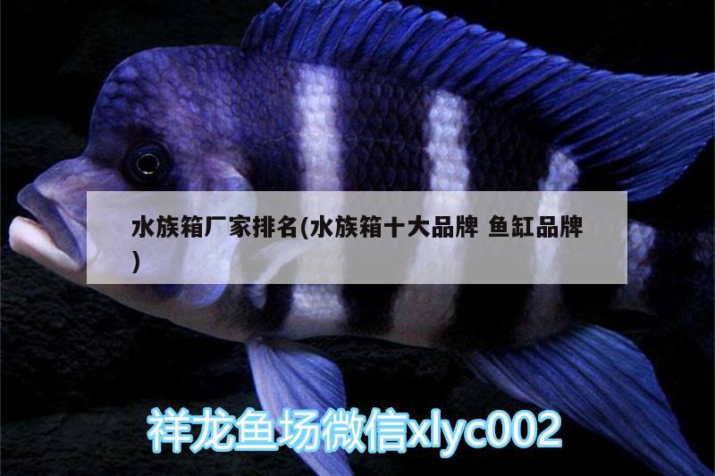 水族箱廠家排名(水族箱十大品牌魚缸品牌) 魚缸/水族箱