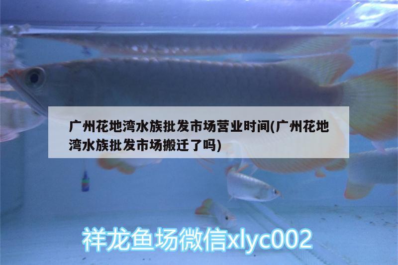 廣州花地灣水族批發(fā)市場(chǎng)營(yíng)業(yè)時(shí)間(廣州花地灣水族批發(fā)市場(chǎng)搬遷了嗎)