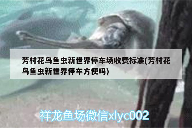 芳村花鳥魚蟲新世界停車場收費標(biāo)準(zhǔn)(芳村花鳥魚蟲新世界停車方便嗎)