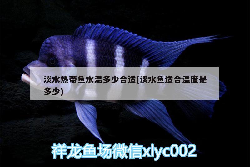 淡水熱帶魚水溫多少合適(淡水魚適合溫度是多少) 其它水族用具設(shè)備