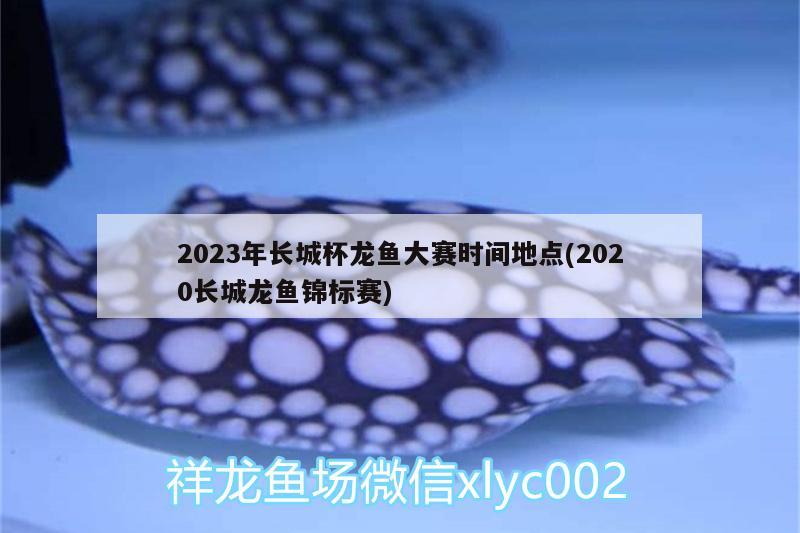 2023年長城杯龍魚大賽時間地點(2020長城龍魚錦標賽)