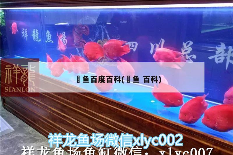 魟魚百度百科(鳉魚百科)