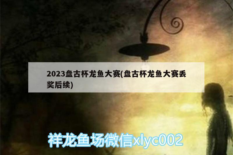 2023盤古杯龍魚大賽(盤古杯龍魚大賽丟獎后續(xù)) 龍鳳鯉魚