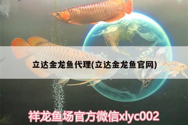 立達金龍魚代理(立達金龍魚官網(wǎng))