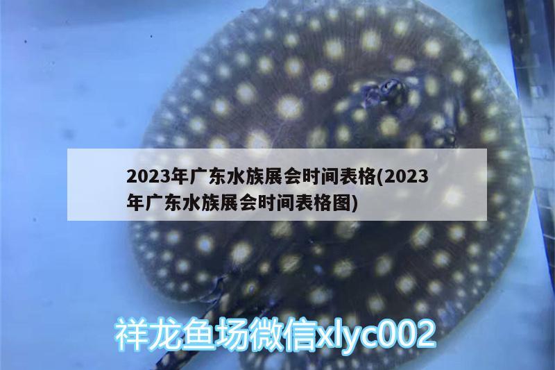 2023年廣東水族展會(huì)時(shí)間表格(2023年廣東水族展會(huì)時(shí)間表格圖) 水族展會(huì)