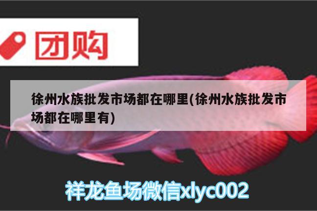 徐州水族批發(fā)市場(chǎng)都在哪里(徐州水族批發(fā)市場(chǎng)都在哪里有) 觀賞魚(yú)水族批發(fā)市場(chǎng)