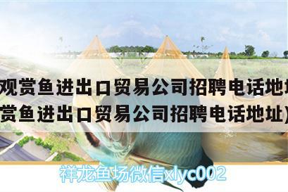 廣州觀賞魚進(jìn)出口貿(mào)易公司招聘電話地址(廣州觀賞魚進(jìn)出口貿(mào)易公司招聘電話地址) 觀賞魚進(jìn)出口